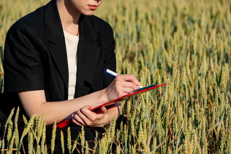 Kvalitatívny výskum v záverečnej práci